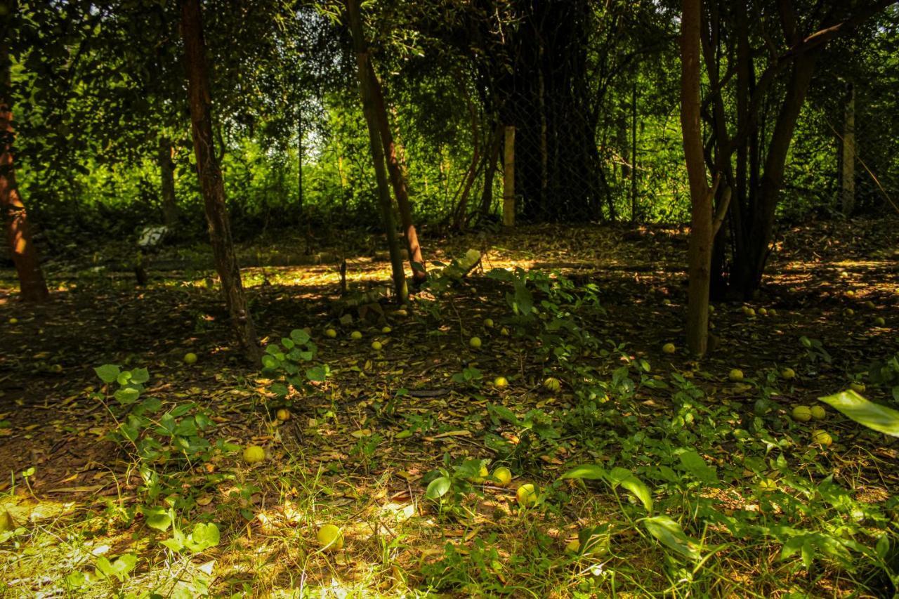 Panna Tiger Resort- Riverside Property Rājgarh Extérieur photo