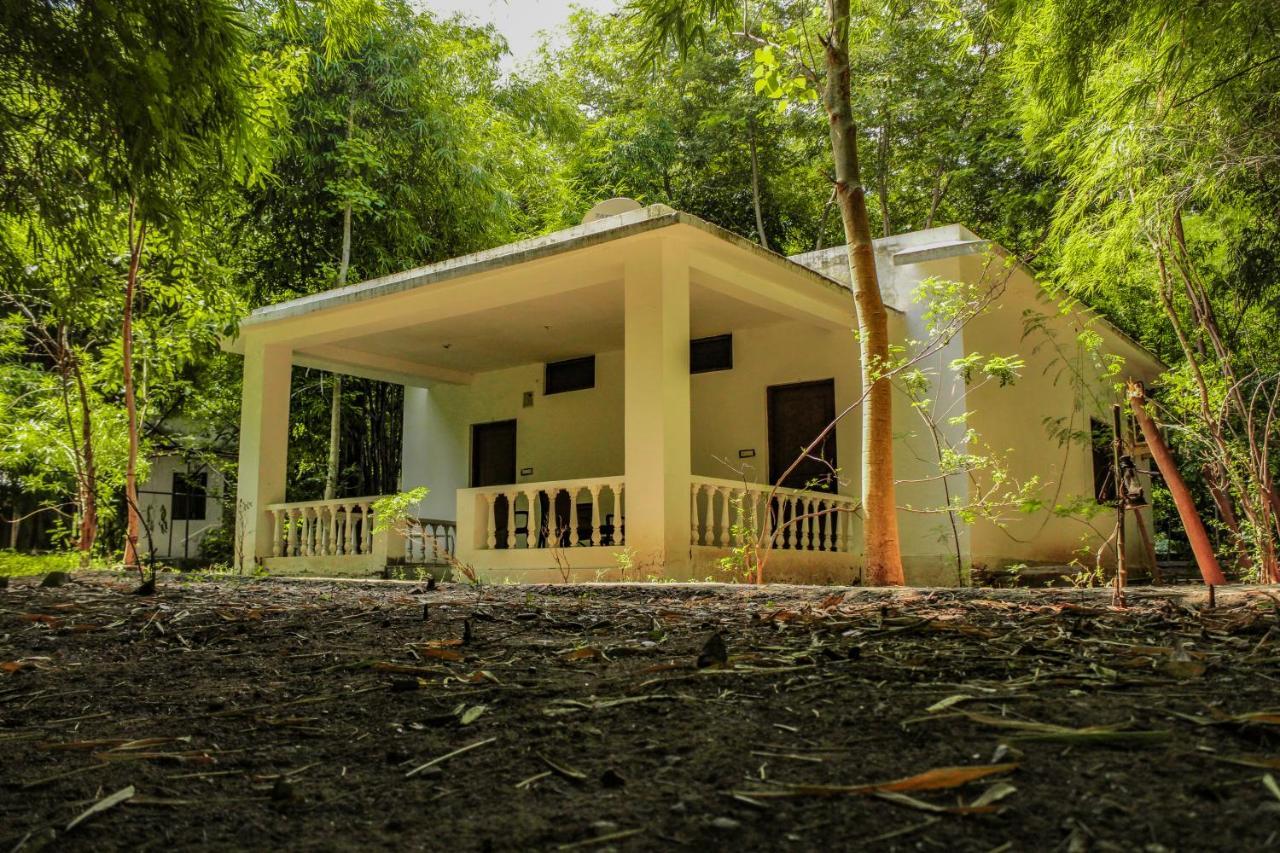 Panna Tiger Resort- Riverside Property Rājgarh Extérieur photo